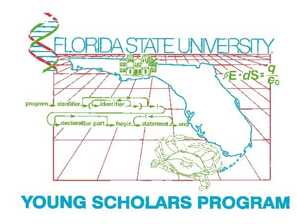 FSU Young Scholars image