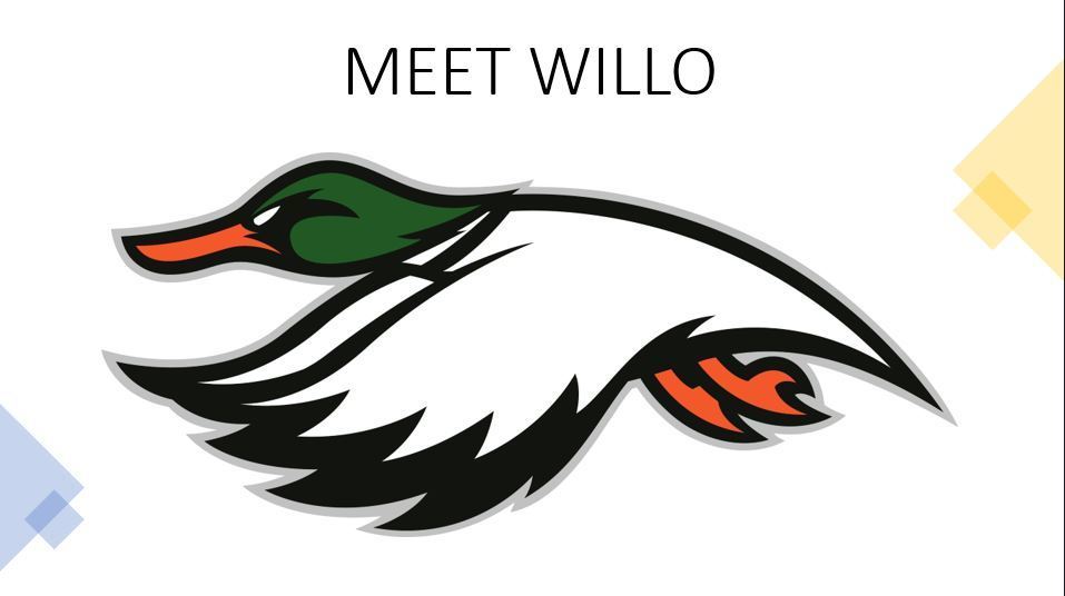 Meet Willow 