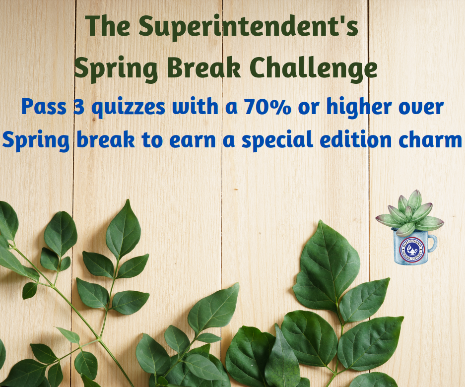 Spring Break Challenge