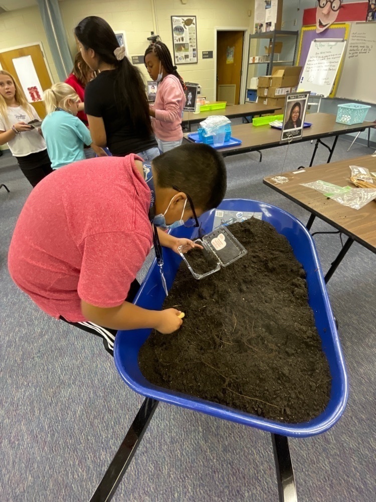 SWE Green Team planting seeds for our gardens.
