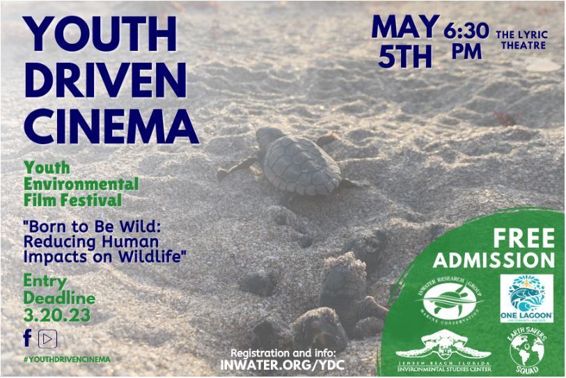 Flyer for Youth Driven Cinema