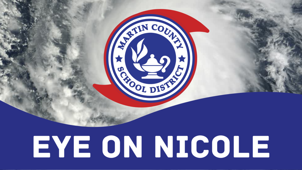 Subtropical Storm Nicole