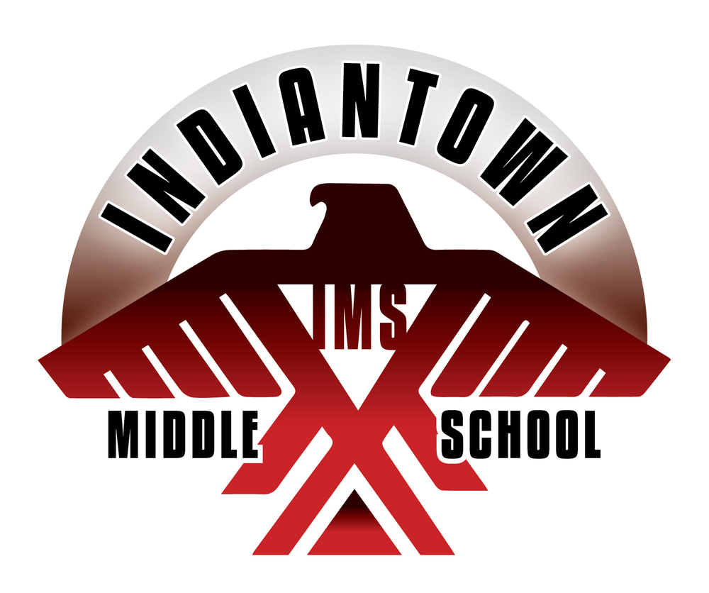 IMS Logo