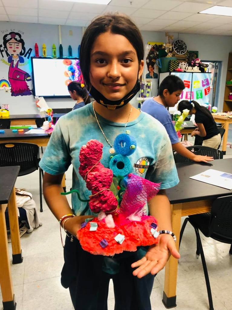 IMS students created coral reefs during summer school. 