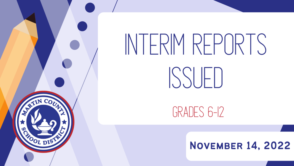 Interim Reports