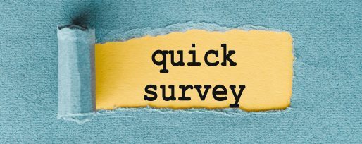 quick survey