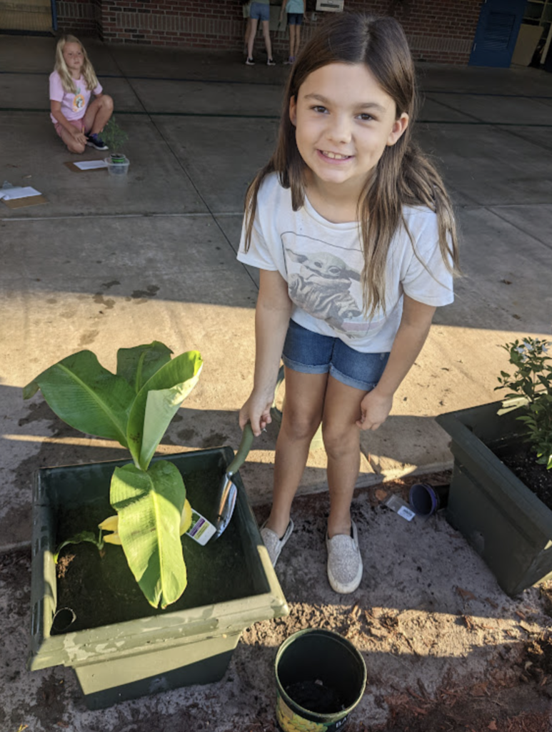 FAWE's 3rd Grade Gifted class celebrates Garden Week
