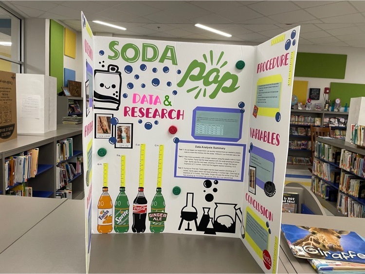 science Fair