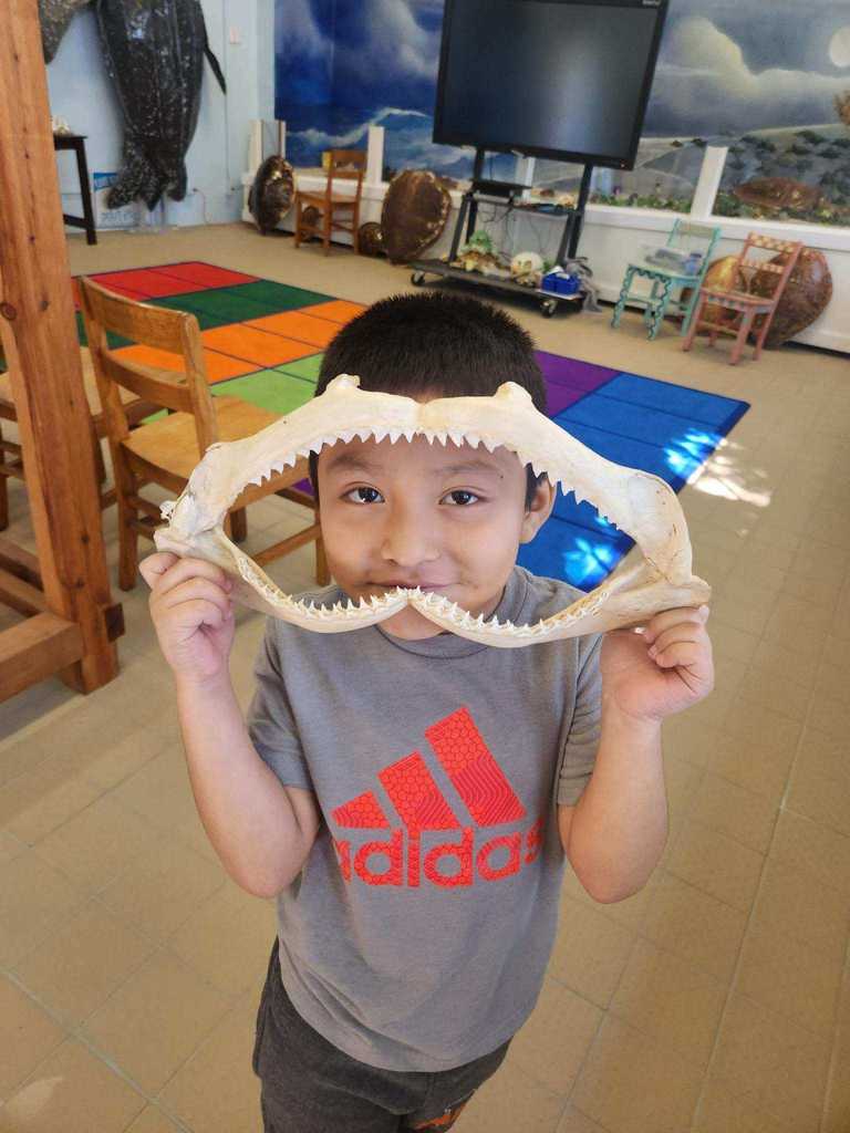 Warfield Elementary students explore the Environmental Studies Center